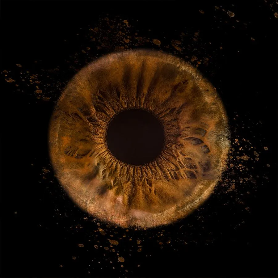 Iris Fotografie Schweiz - Asset 10